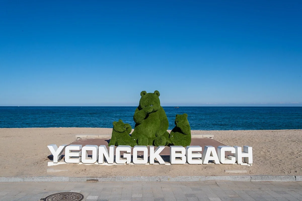 %ED%8F%AC%ED%86%A0%EC%A1%B4.jpg?type=w1200