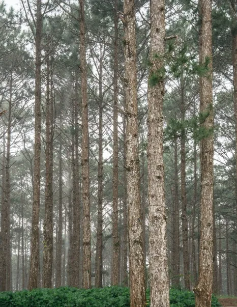 20251202-DSC01191.jpg?type=w466