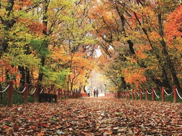 %ED%95%A8%EC%96%91%EC%83%81%EB%A6%BC.jpg?type=w1200