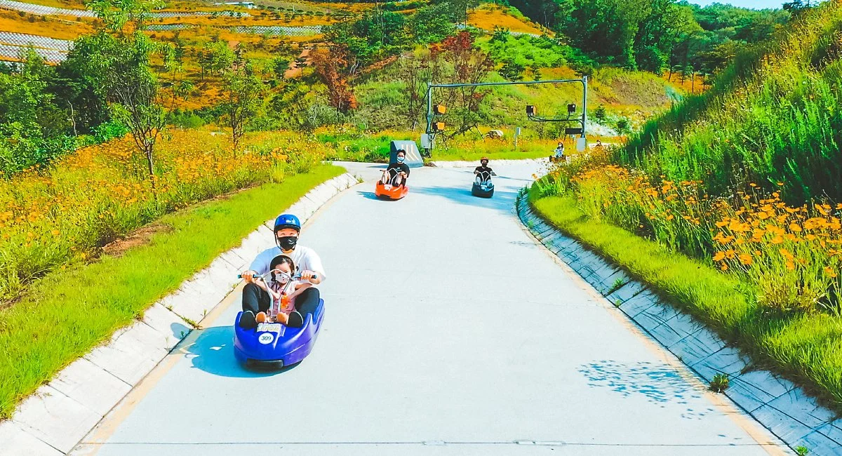 %EA%B0%95%ED%99%94_%EC%94%A8%EC%82%AC%EC%9D%B4%EB%93%9C_%EB%A6%AC%EC%A1%B0%ED%8A%B8_%282%29.jpg?type=w1200