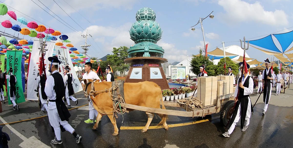 %EA%B0%95%EC%A7%84%EC%B2%AD%EC%9E%90%EC%B6%95%EC%A0%9C.jpg?type=w1200