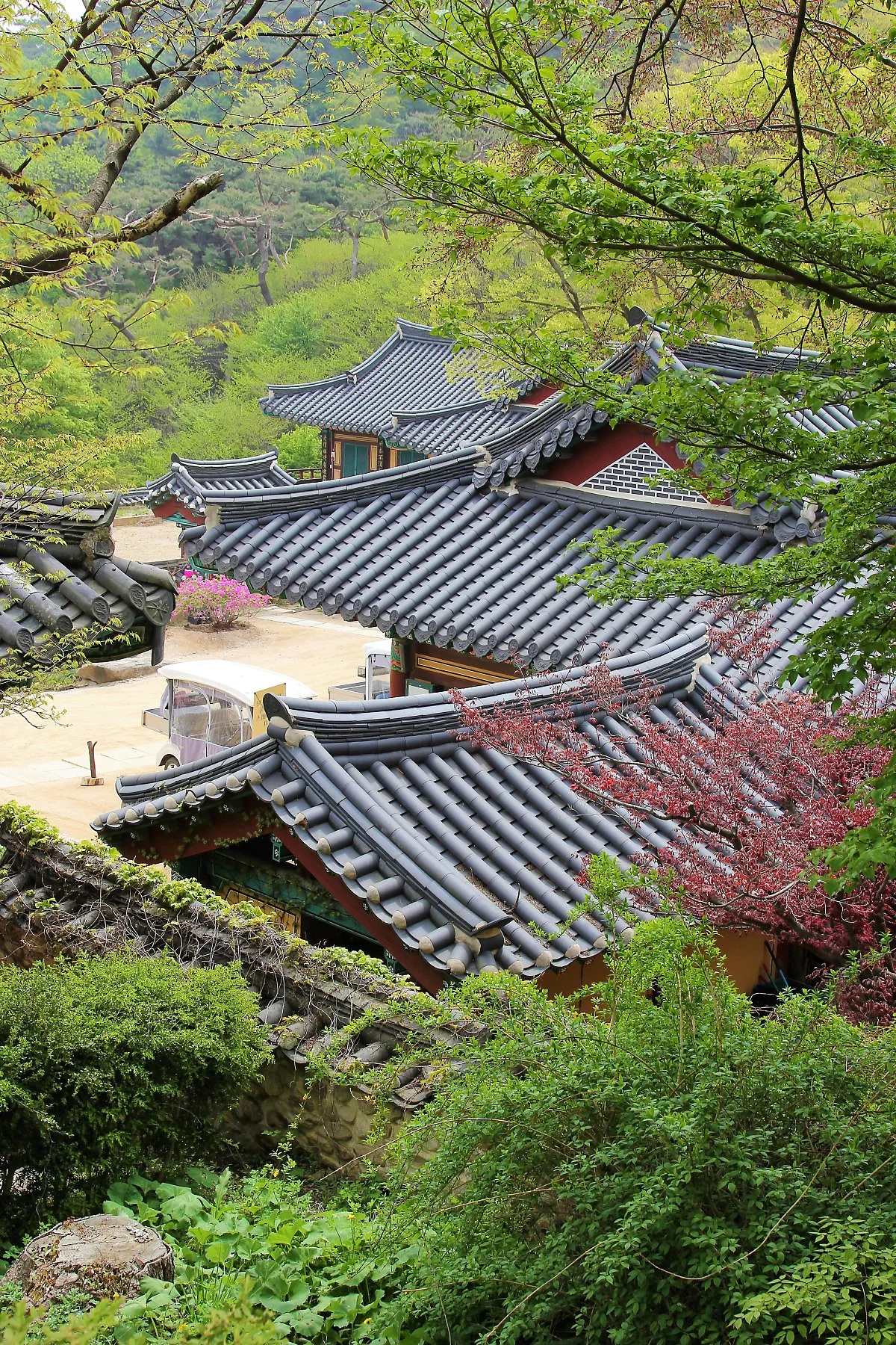 %EC%A0%84%EB%93%B1%EC%82%AC_%281%29.JPG?type=w1200