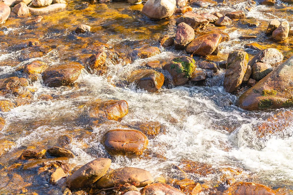 %EC%9B%94%EC%A0%95%EC%82%AC_002.jpg?type=w1200