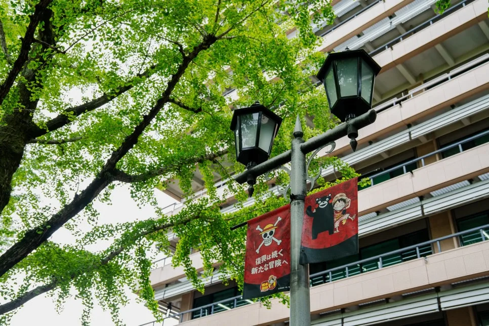 %EA%B5%AC%EB%A7%88%EB%AA%A8%ED%86%A0%ED%98%84%EC%B2%AD_%EC%99%B8%EA%B4%80+%EC%9B%90%ED%94%BC%EC%8A%A4%EC%99%80_%EA%B5%AC%EB%A7%88%EB%AA%AC_%EA%B9%83%EB%B0%9C.jpg?type=w966