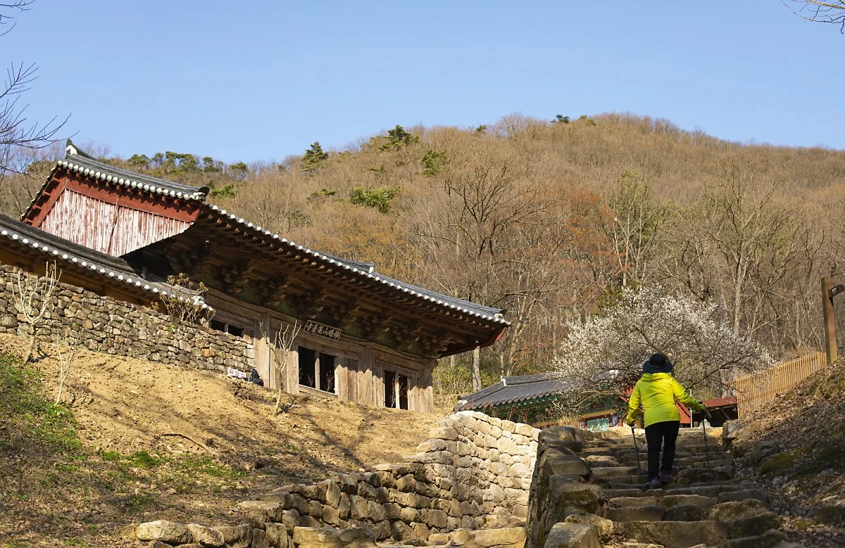 %ED%99%94%EC%95%94%EC%82%AC%285%29.jpg?type=w1200