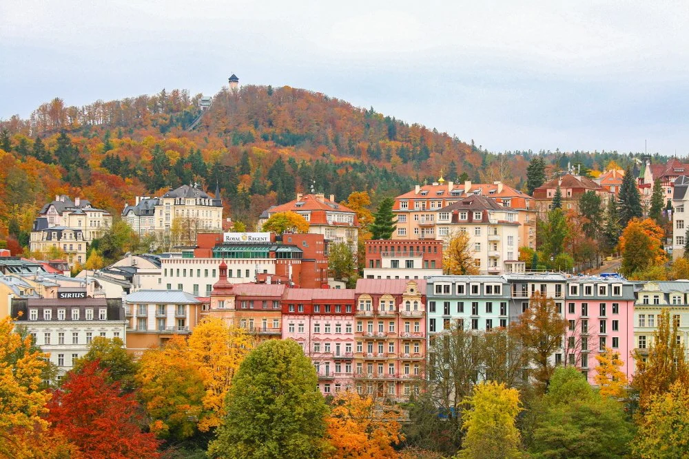 %EC%B9%B4%EB%A5%BC%EB%A1%9C%EB%B9%84_%EB%B0%94%EB%A6%AC_%289%29.jpg?type=w1200