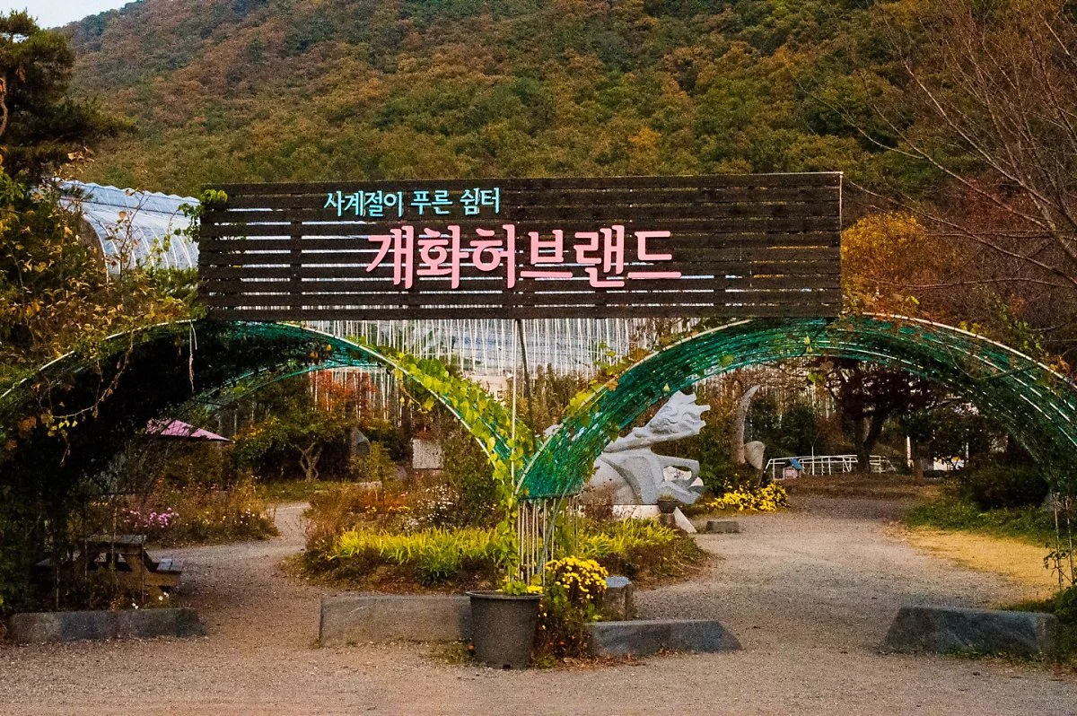 %EA%B0%9C%ED%99%94%EC%98%88%EC%88%A0%EA%B3%B5%EC%9B%909.jpg?type=w1200