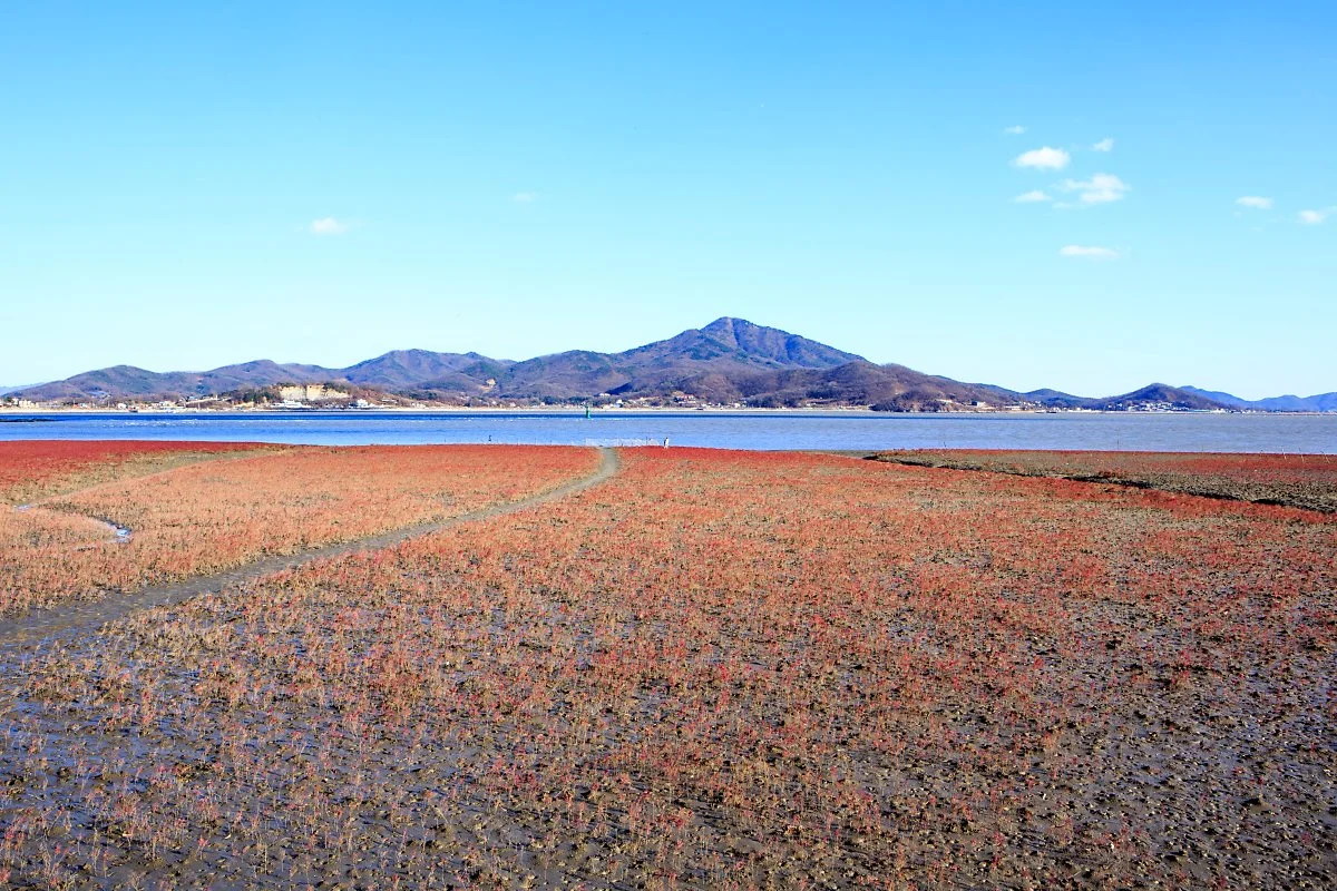 %EC%B9%A0%EB%A9%B4%EC%B4%88%EA%B5%B0%EB%9D%BD%EC%A7%80_%EA%B9%80%EB%8F%84%ED%98%95_%282%29.JPG?type=w1200