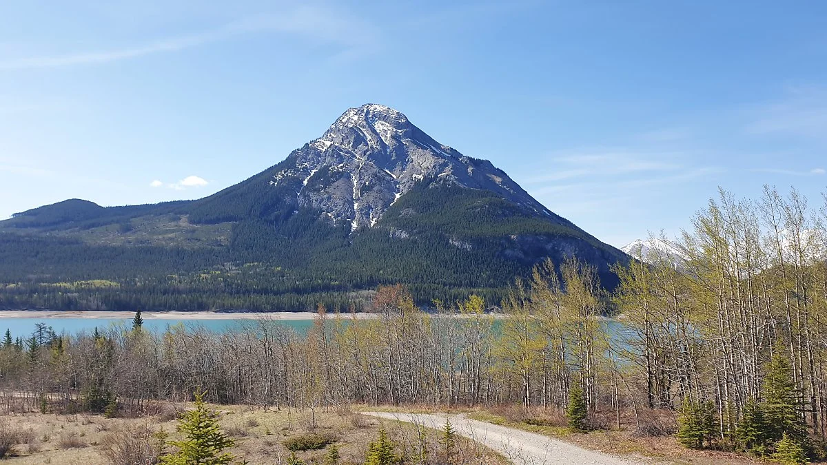 %EC%B9%B4%EB%82%98%EB%82%98%EC%8A%A4%ED%82%A4%EC%8A%A4_%EB%B2%A0%EB%A6%AC%EC%97%90_%EB%A0%88%EC%9D%B4%ED%81%AC_3.jpg?type=w1200