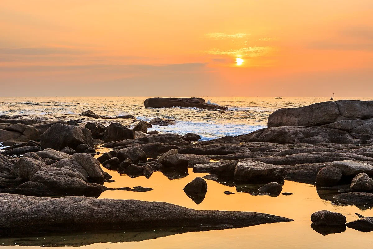 %EC%98%81%EA%B8%88%EC%A0%95%EC%9D%BC%EC%B6%9C_%EC%A0%95%EC%9D%80%EC%A3%BC_%281%29.jpg?type=w1200