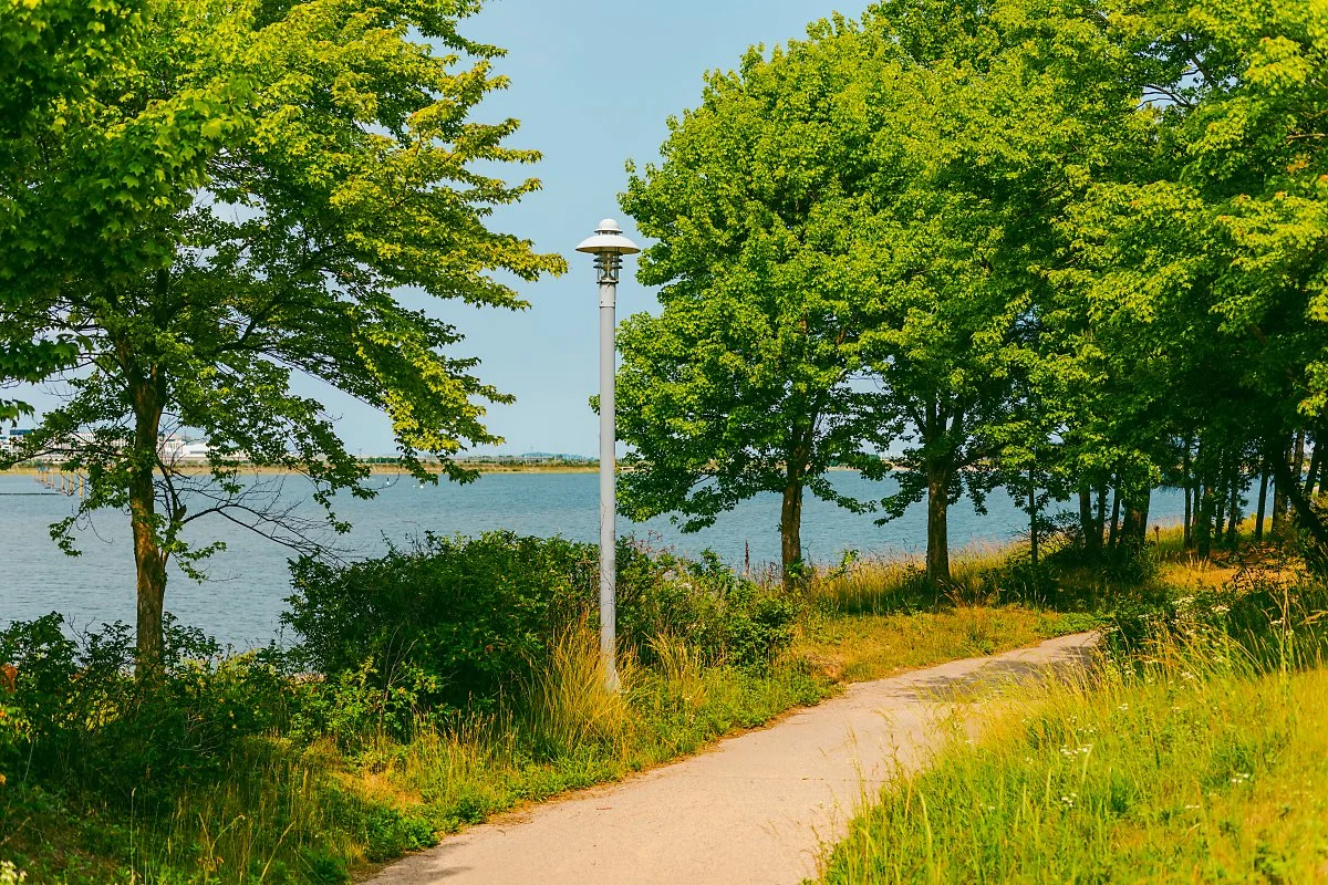 d_%EB%84%A4%EC%8A%A4%ED%8A%B8%ED%98%B8%ED%85%94_3.jpg?type=w1200