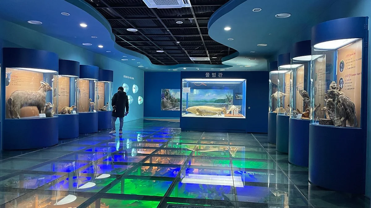 %ED%99%94%EC%A7%84%ED%8F%AC_%EC%83%9D%ED%83%9C%EC%B2%B4%ED%97%98%EA%B4%80_%EC%A0%95%EC%9D%80%EC%A3%BC_%282%29.jpg?type=w1200