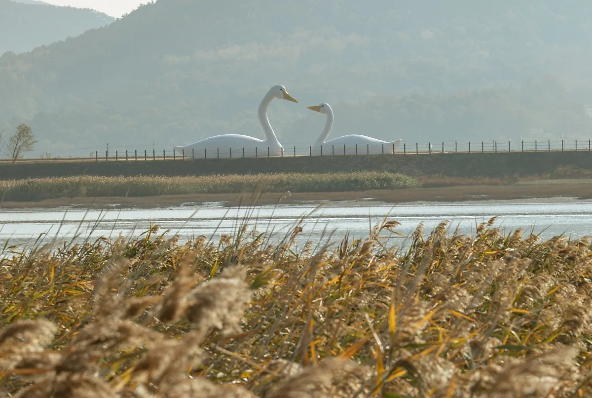 image_2426143701669703018430.jpg?type=w1200