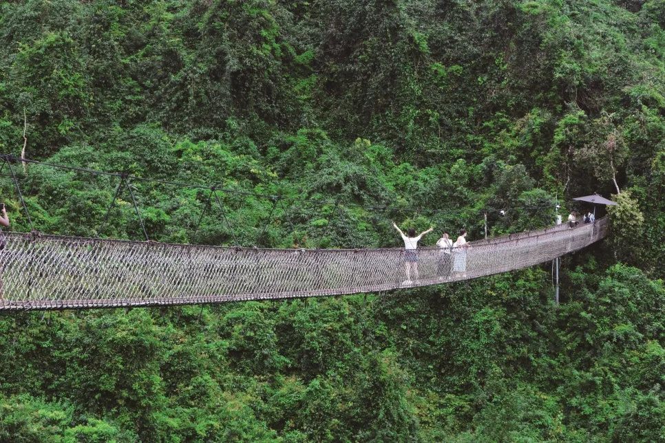 %EC%95%84%EB%A3%A1%EC%97%B4%EB%8C%80%EC%B2%9C%EB%8B%B9%EC%82%BC%EB%A6%BC%EA%B3%B5%EC%9B%90_(8)_%EB%B3%B5%EC%82%AC.jpg?type=w966