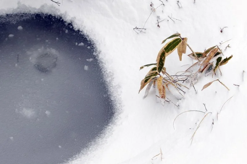 %ED%83%9C%EA%B8%B0%EC%82%B0.jpg?type=w1200