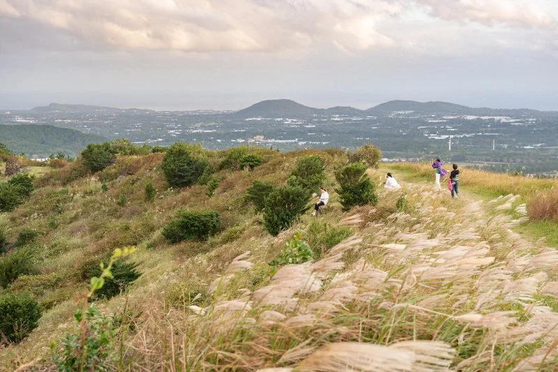 %EB%94%B0%EB%9D%BC%EB%B9%84%EC%98%A4%EB%A6%84_%283%29.jpg?type=w1200