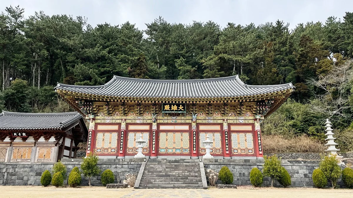 %EB%B3%B4%EB%A6%BC%EC%82%AC_%EC%A0%95%EC%9D%80%EC%A3%BC_%282%29.jpg?type=w1200