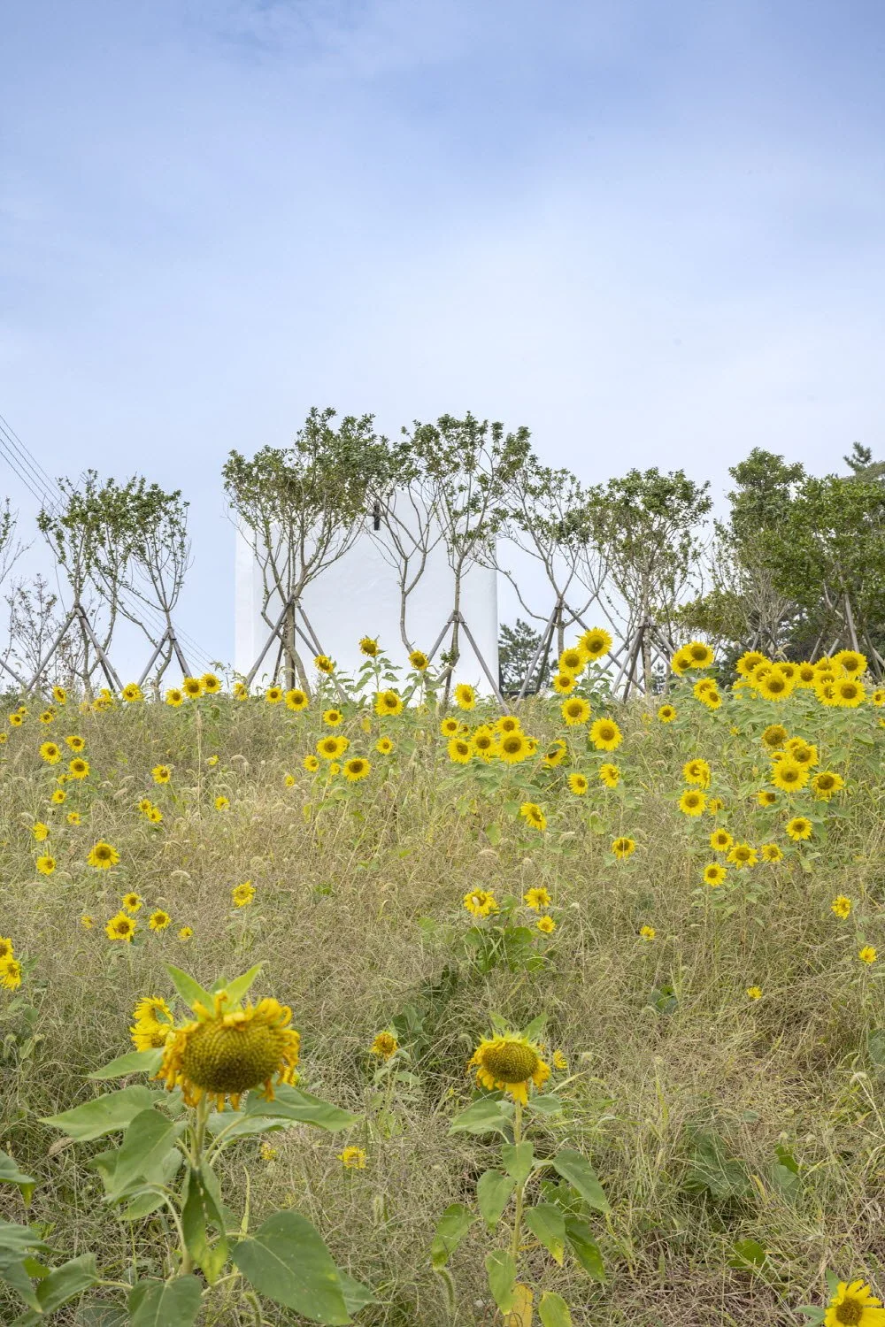 12%EC%82%AC%EB%8F%84_%EC%98%88%EB%B0%B0%EB%8B%B9_%285%29.jpg?type=w1200