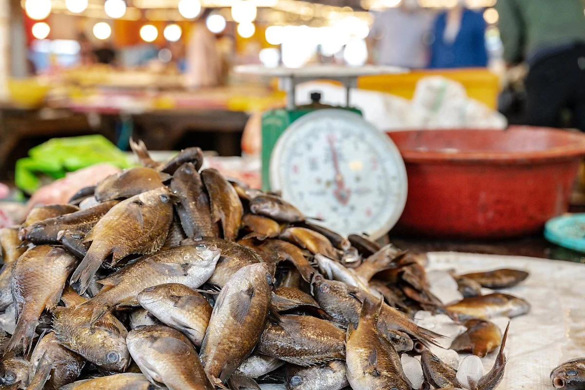 %EC%A0%9C%EC%A3%BC_5%EC%9D%BC%EC%9E%A5_%288%29%EC%9E%90%EB%A6%AC.jpg?type=w1200