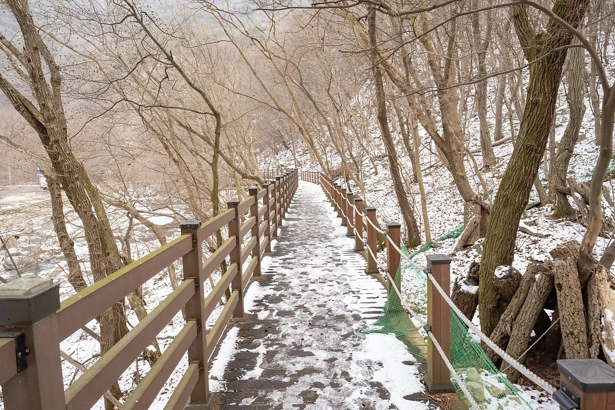 %EB%A7%88%EC%95%A0%EC%82%BC%EC%A1%B4%EB%B6%88%EC%83%81_%EA%B0%80%EB%8A%94_%EA%B8%B8_%281%29.jpg?type=w1200