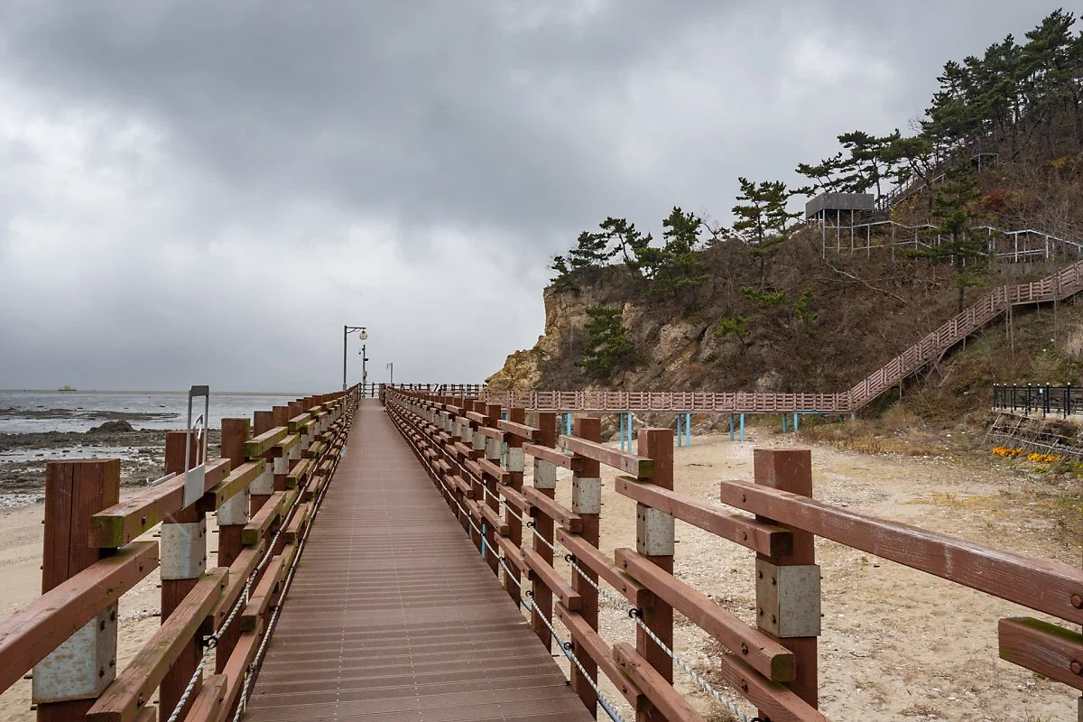 %ED%95%B4%EC%95%88%EC%82%B0%EC%B1%85%EB%A1%9C_%281%29.jpg?type=w1200