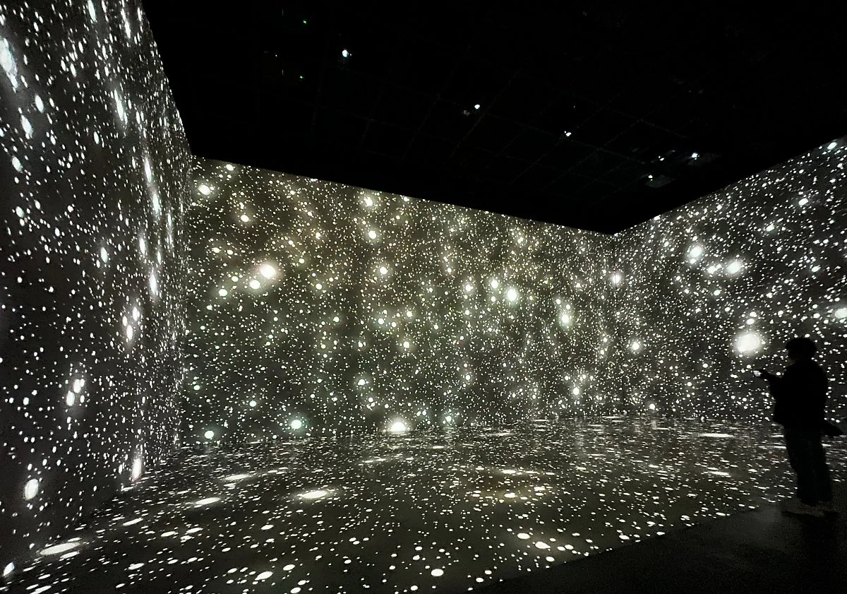 %EB%94%9C%EB%9D%BC%EC%9D%B4%ED%8A%B8%EB%8B%B4%EC%96%91_%EC%A0%95%EC%9D%80%EC%A3%BC_%287%29.JPG?type=w1200