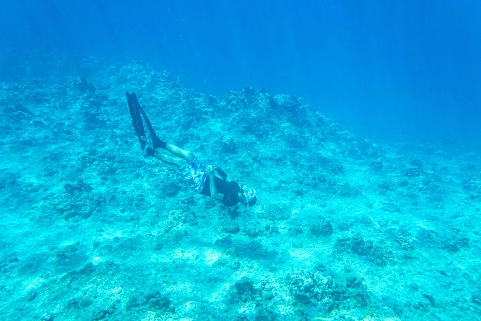 Saipan_east_bay_cliff_3.jpg?type=w966