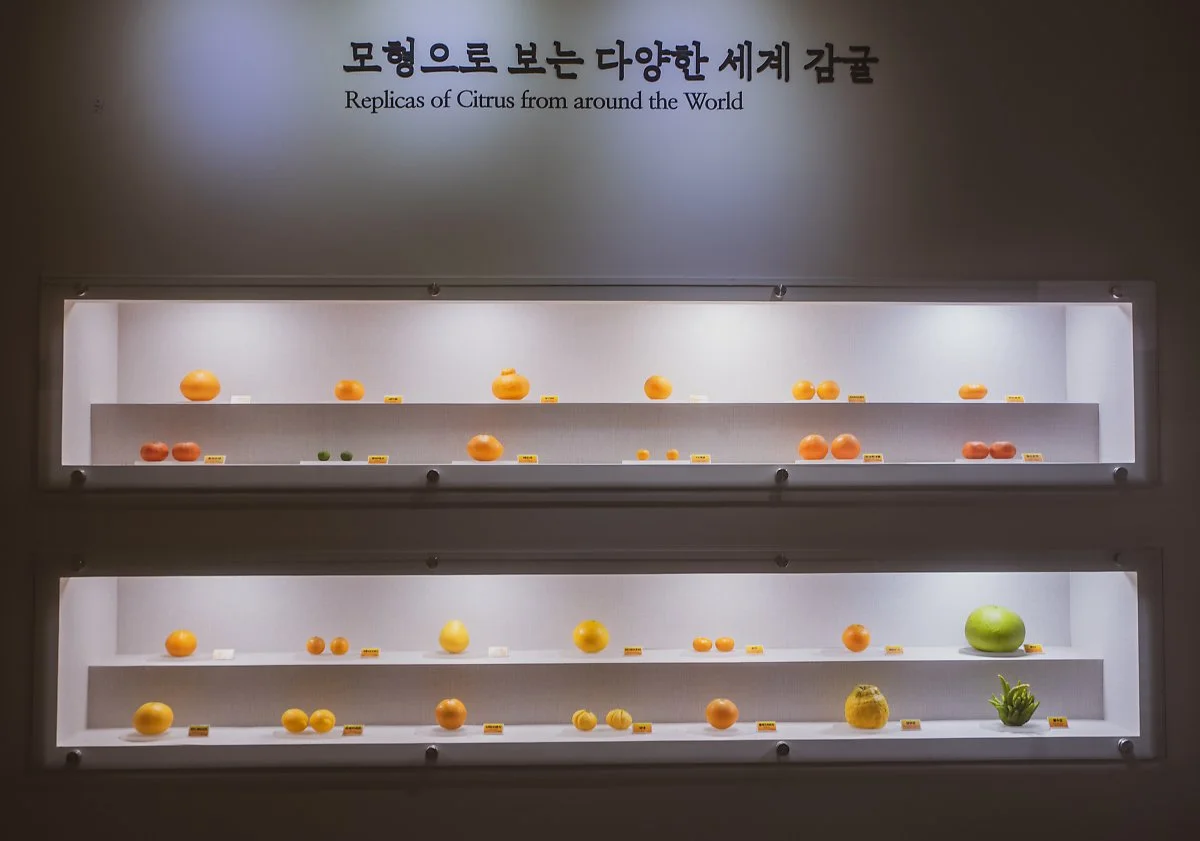 %EC%84%9C%EA%B7%80%ED%8F%AC%EA%B0%90%EA%B7%A4%EB%B0%95%EB%AC%BC%EA%B4%80_002.jpg?type=w1200