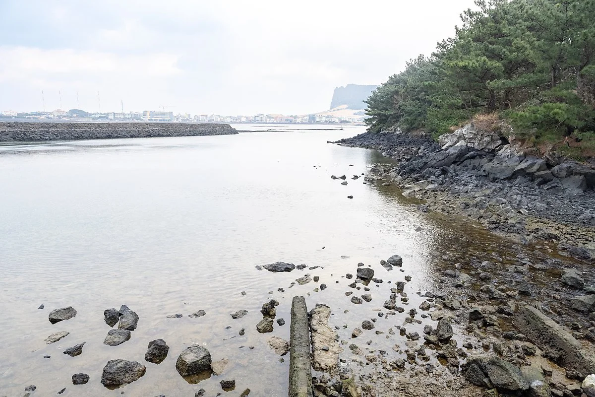 %EC%98%A4%EC%A1%B0%EB%A6%AC_%ED%8F%AC%EA%B5%AC_%282%29.jpg?type=w1200