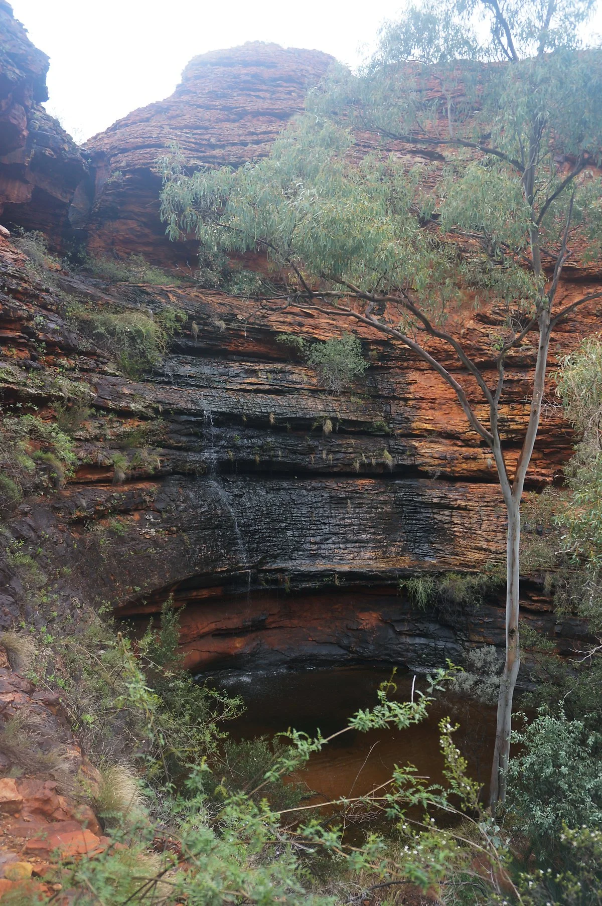 %ED%82%B9%EC%8A%A4%EC%BA%90%EB%85%84_11_%28%EC%97%90%EB%8D%B4%EB%8F%99%EC%82%B0_3%29.jpg?type=w1200