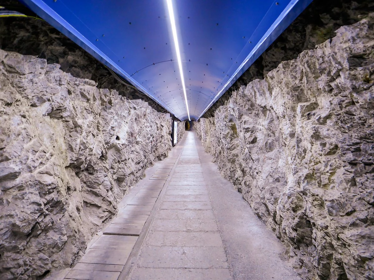 15.%EC%9C%B5%ED%94%84%EB%9D%BC%EC%9A%B0%EC%9A%94%ED%9D%90%ED%86%B5%EB%A1%9CJPG.JPG?type=w1200