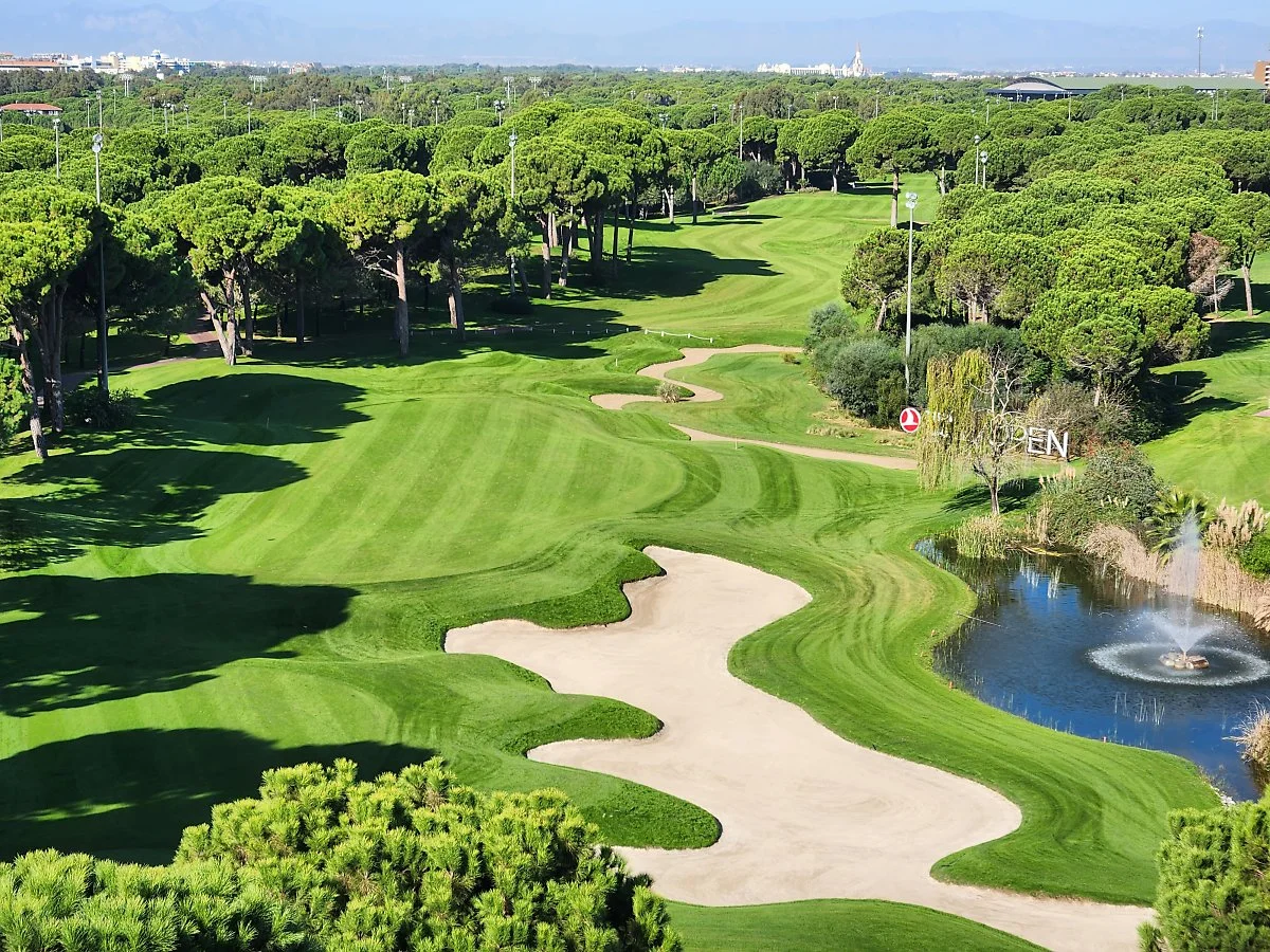 %EB%A7%A5%EC%8A%A4%EB%A1%9C%EC%96%84_%EB%AA%BD%EA%B3%A0%EB%A9%94%EB%A6%AC_%284%29.jpg?type=w1200