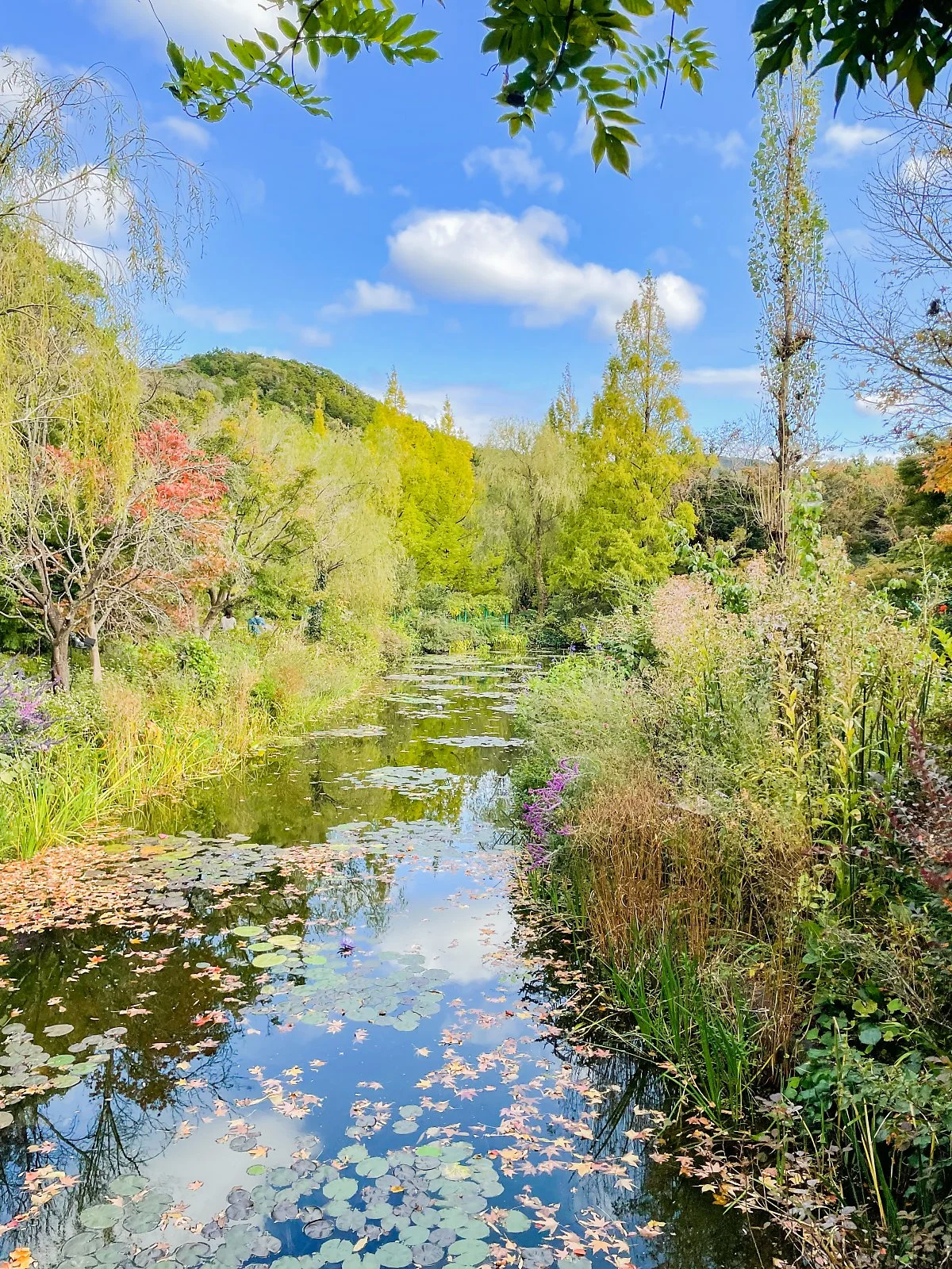 %EB%AA%A8%EB%84%A4%EC%9D%98%EC%A0%95%EC%9B%90_%EC%95%84%EC%9D%B4%ED%8F%B0_%282%29.JPG?type=w1200