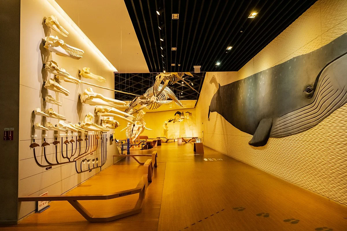 %EA%B5%AD%EB%A6%BD%ED%95%B4%EC%96%91%EC%83%9D%EB%AC%BC%EC%9E%90%EC%9B%90%EA%B4%80_%288%29.jpg?type=w1200