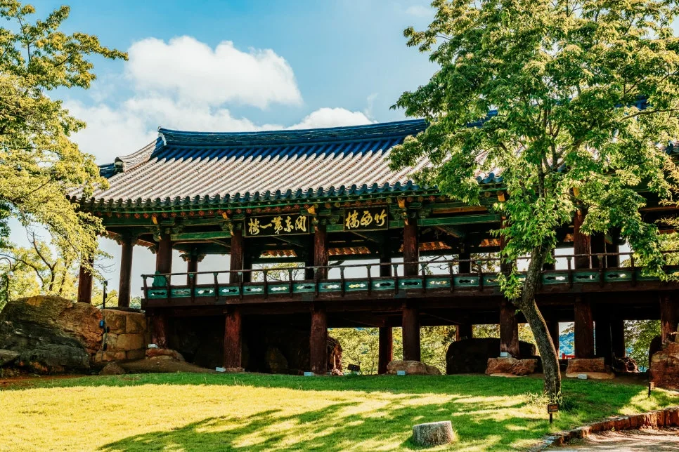 %EC%82%BC%EC%B2%99_%EC%A3%BD%EC%84%9C%EB%A3%A8_(2).jpg?type=w966