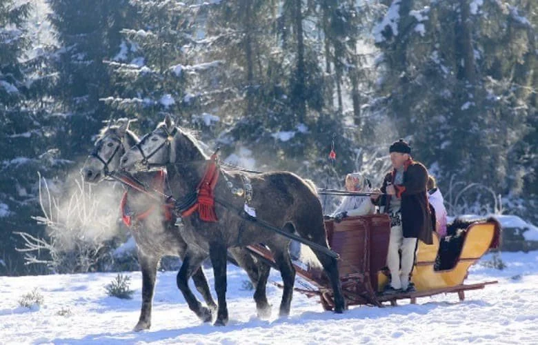 23_kulig_%E3%81%9D%E3%82%8A.jpg?type=w1200