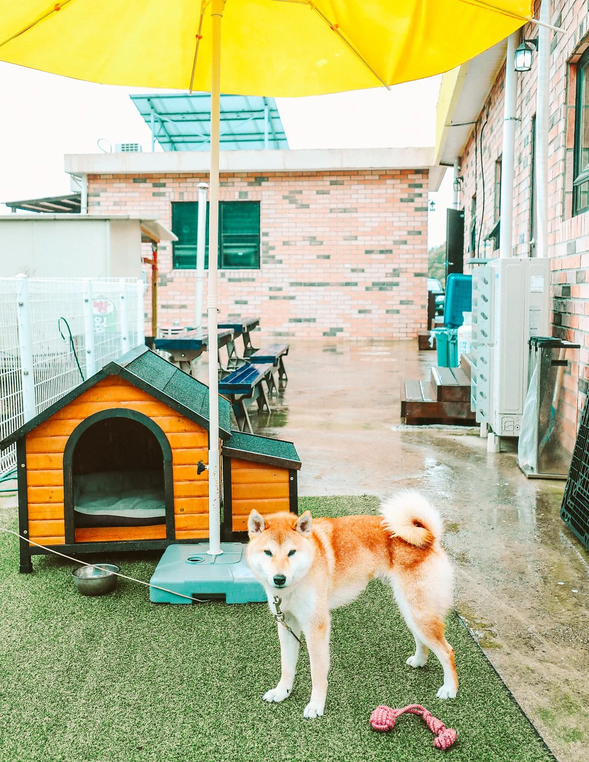 %EA%B0%95%ED%99%94%EA%B9%8C%EA%B9%8C-14.JPG?type=w1200