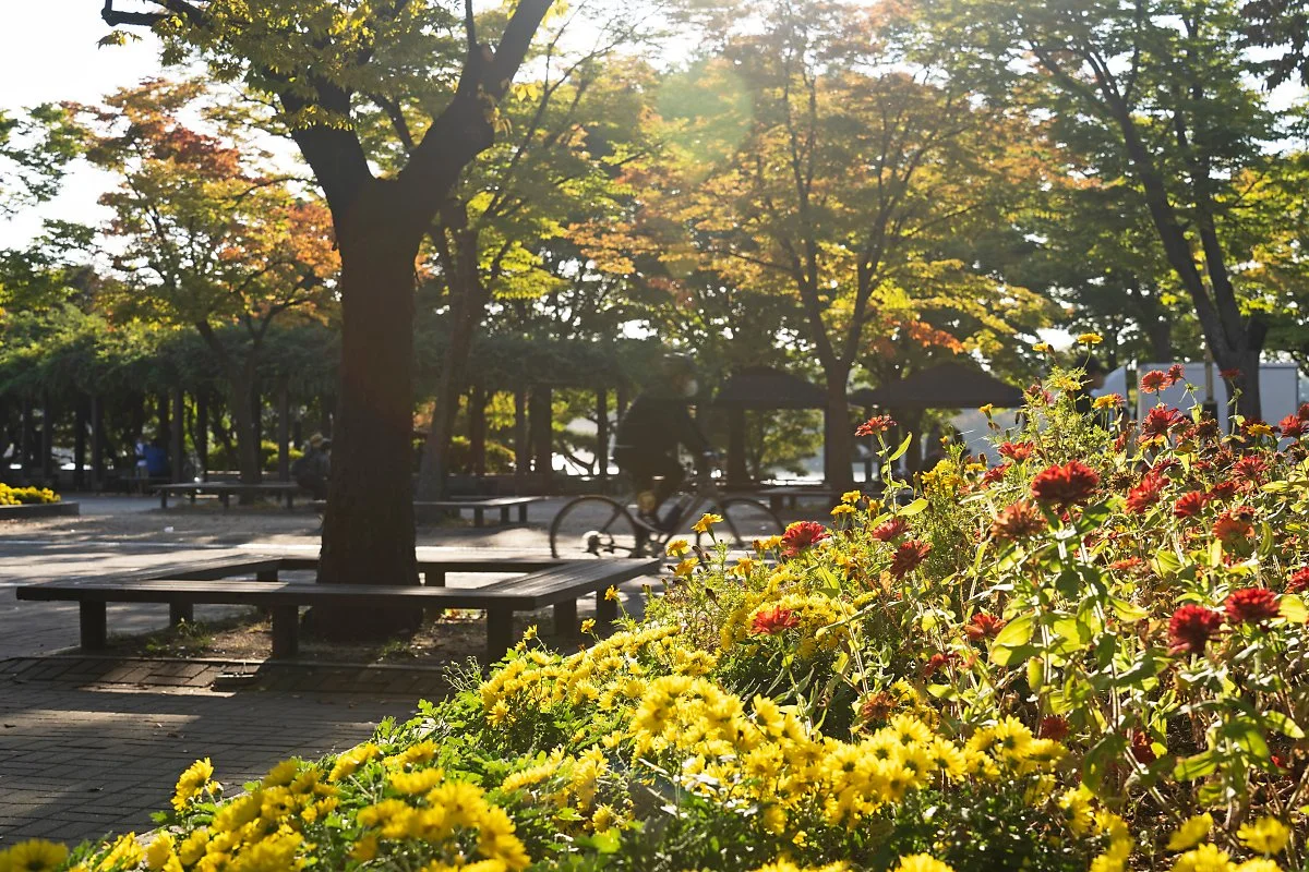 %EC%82%AC%EC%A7%841_%EA%B0%80%EC%9D%84_%ED%96%87%EC%82%B4%EC%9D%B4_%EB%94%B0%EC%8A%A4%ED%95%9C_%EC%9D%BC%EC%82%B0_%ED%98%B8%EC%88%98%EA%B3%B5%EC%9B%90.jpg?type=w1200