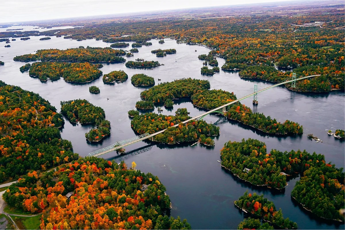 %EA%B7%B8%EB%A6%BC1.jpg?type=w1200