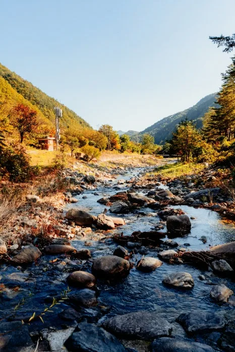 %EC%82%BC%EC%B2%99%ED%99%9C%EA%B8%B0%EC%B9%98%EC%9C%A0%EC%9D%98%EC%88%B2_(16).jpg?type=w466