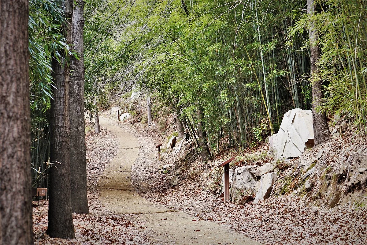 %EC%96%B8%EC%96%91%EC%84%B1%EB%8B%B9_%286%29.jpg?type=w1200