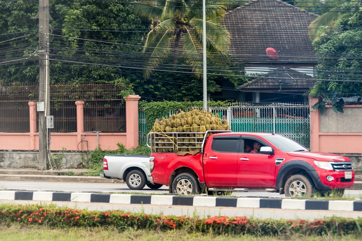 IMG_2916.jpg?type=w1200