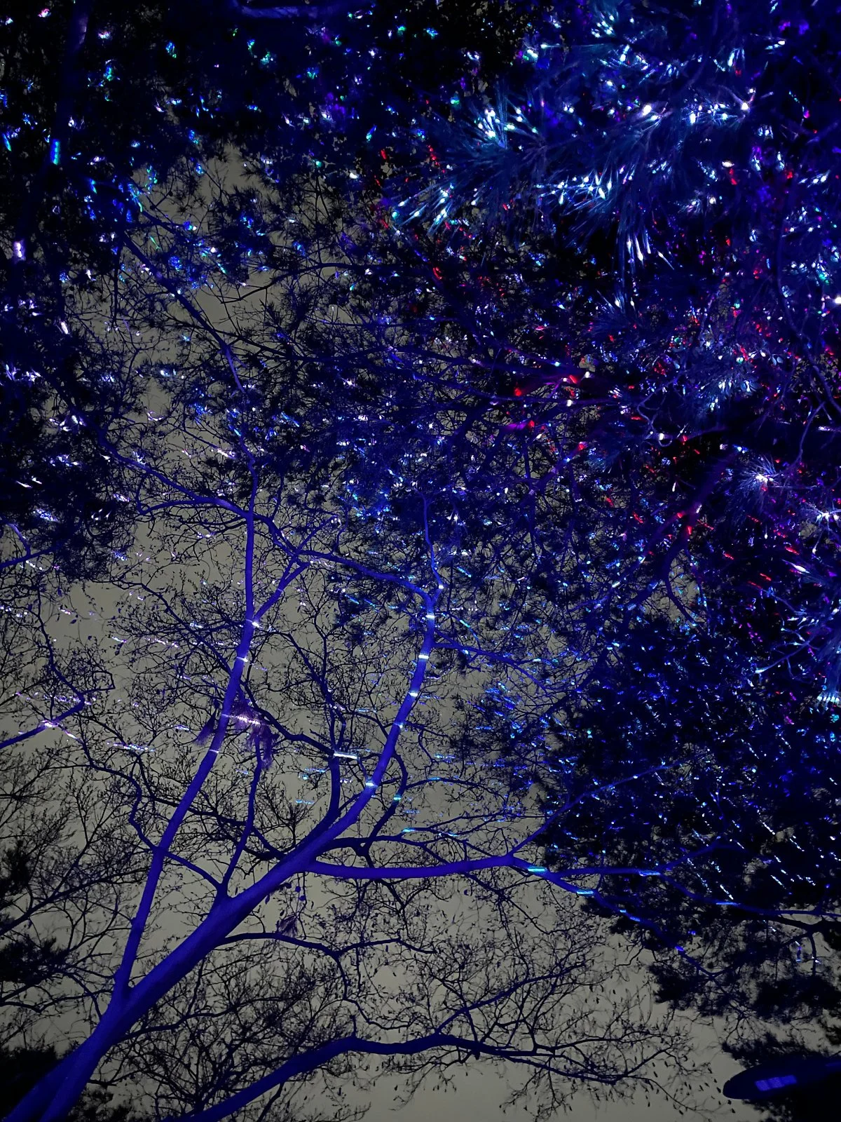 %EB%94%94%ED%94%BC%EB%9E%91_%282%29.JPG?type=w1200