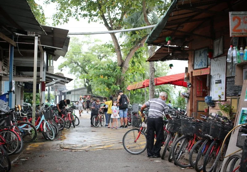 _%ED%92%80%EB%9D%BC%EC%9A%B0%EC%9A%B0%EB%B9%88_%EC%9E%90%EC%A0%84%EA%B1%B0_%EB%A0%8C%ED%83%88%EC%88%8D.jpg?type=w1200