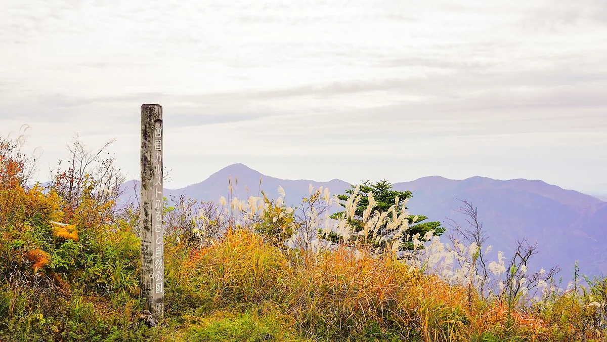 _DSC3193-148.JPG?type=w1200