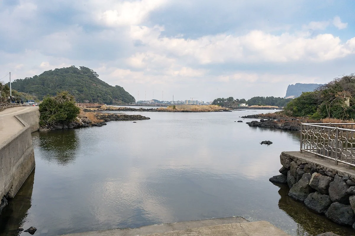 %EC%98%A4%EC%A1%B0%EB%A6%AC_%EC%A1%B1%EC%A7%80_%282%29.jpg?type=w1200