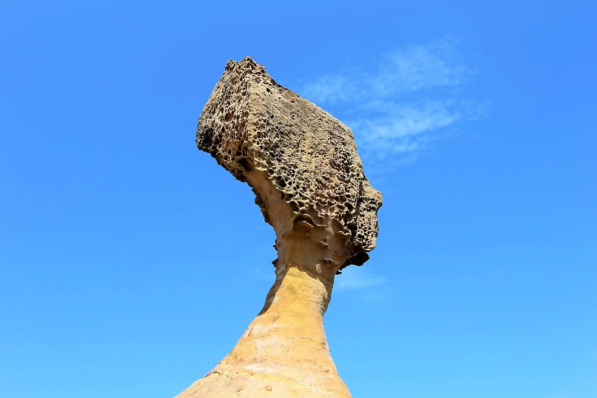 01%EC%98%88%EB%A6%AC%EC%9A%B0_%EC%97%AC%EC%99%95%EB%A8%B8%EB%A6%AC%EB%B0%94%EC%9C%84.JPG?type=w1200