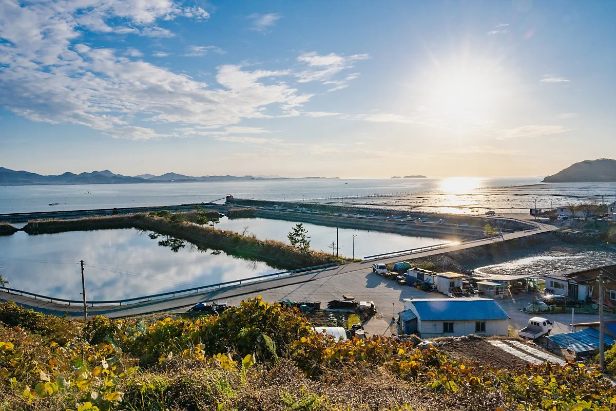 %EC%9E%91%EB%8B%B9%EB%A7%88%EC%9D%84_%EC%99%95%ED%8F%AC%EB%A7%88%EC%9D%84_%EB%A7%88%EB%8F%99%EB%B0%A9%EC%A1%B0%EC%A0%9C.jpg?type=w1200