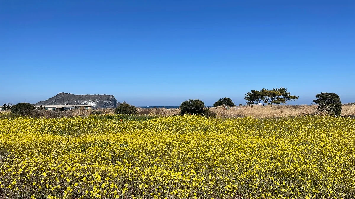 %EC%84%AD%EC%A7%80%EC%BD%94%EC%A7%80_%282%29.jpg?type=w1200