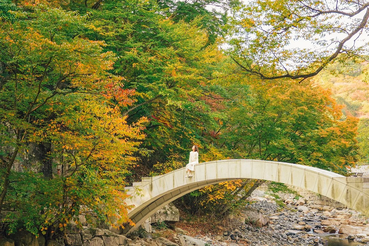 %EA%B2%BD%EB%82%A8_%EC%96%91%EC%82%B0_%ED%86%B5%EB%8F%84%EC%82%AC.jpg?type=w1200